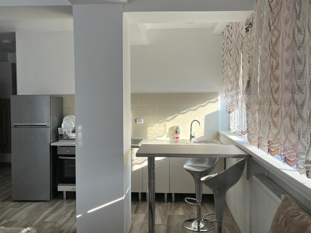 Ari Apartment Bulevardul Mamaia コンスタンツァ エクステリア 写真